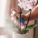 Westland 250ml Orchid Mist - Old Railway Line Garden Centre