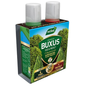 Westland Buxus 2 in 1 Feed & Protect - Old Railway Line Garden Centre