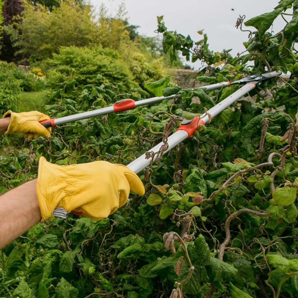 Wilkinson Sword Telescopic Anvil Loppers - Old Railway Line Garden Centre