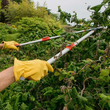 Wilkinson Sword Telescopic Anvil Loppers - Old Railway Line Garden Centre
