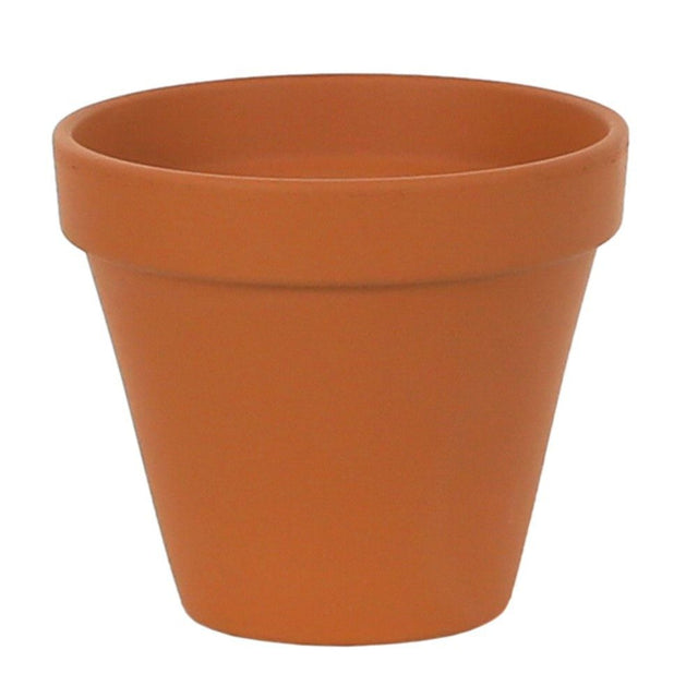 Woodlodge 11.5cm Terracotta Sprang Pot - Old Railway Line Garden Centre