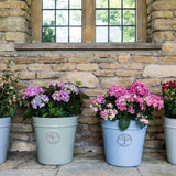 Woodlodge 20cm Pastel Grey Heritage Pot - Old Railway Line Garden Centre