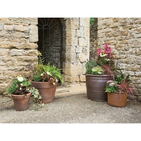 Woodlodge 35cm Thai Salt Glazed Pot - Old Railway Line Garden Centre