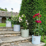 Woodlodge 38cm White / Cream Glazed Heritage Cylinder Pot - Old Railway Line Garden Centre