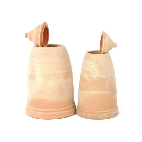 Woodlodge 50cm Rhubarb Forcer Pot - Old Railway Line Garden Centre