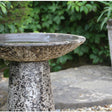 Woodlodge 63cm Ancient Bird Bath - Old Railway Line Garden Centre