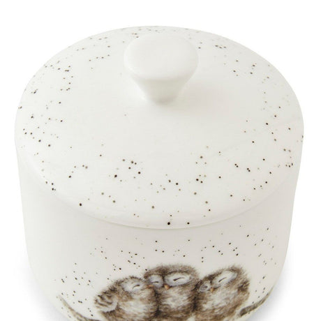 Wrendale Designs 9cm Owl Lidded Storage Jar - Old Railway Line Garden Centre