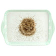 Wrendale Designs Hedgehog Scatter Tray