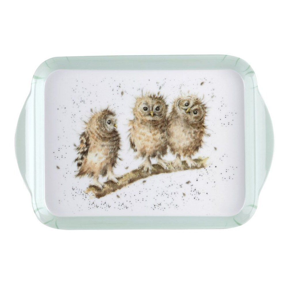 Wrendale Designs Owl Scatter Tray - Old Railway Line Garden Centre
