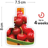 Yankee Candle Black Cherry ScentPlug Refill (Pack of 2) - Old Railway Line Garden Centre